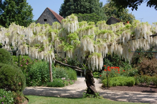 maisons-jardins-france-1357346487-1211972.jpg