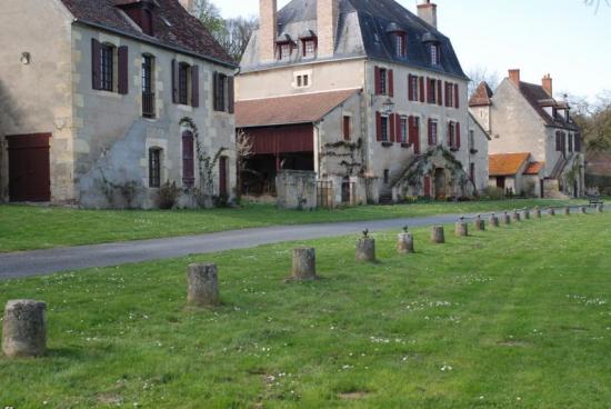 apremont bords d'allier 1.JPG