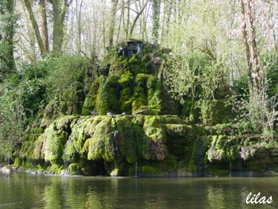 jardin-jardin-public-de-saint-omer-300_1.jpg