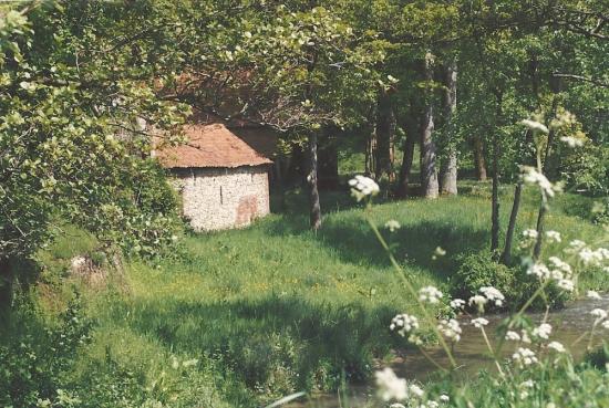 moulin20001.jpg